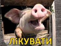 ликувати.jpg