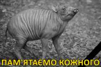 памятаэмо кожного.jpg