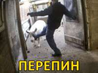 перепин.jpg