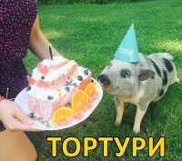 тортури 2.0.jpg