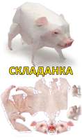 складанка.jpg