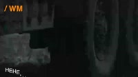 фортиця бахмут.mp4