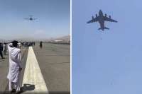 falling-man-Zaki-ANwari-kabul-evacuation-afghanistan-military-plane.webp