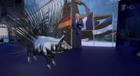 штахельшвайн.MP4