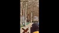17527478744180.mp4