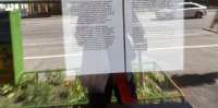 IMG2048.jpeg