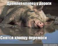 15147788d28780ddf526439d6d4d9edd.jpg