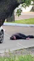 жертва убитого хохломента.MP4