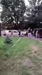 тцк луцк.mp4
