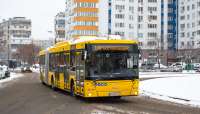 КиевскийавтобусМАЗ-215.jpg