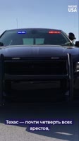 8.mp4