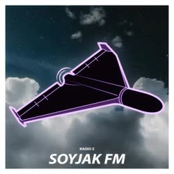 Врата Овертона - Цветёт Герань (Remix).webm