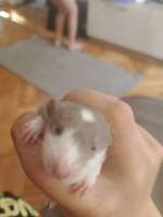 IMG20250623183957.jpg