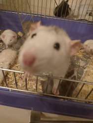 IMG20250627223844.jpg