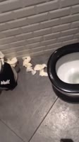 1583193181429.mp4