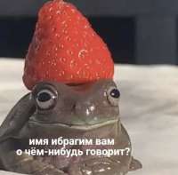 12-48-57-16434399015480.jpg