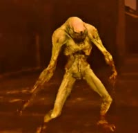 15747126490130.mp4