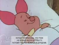 17490075977140.jpg