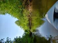 IMG20250614091716620.jpg