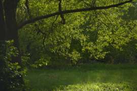 DSC0894.jpg