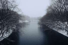 IMG6195t.jpg