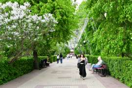 DSC5730.JPG