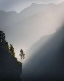 DSC08731.jpg