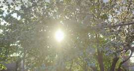 IMG20250424184917.jpg