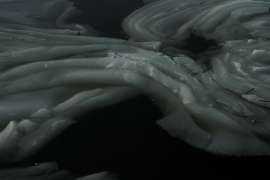 IMG7937.jpg