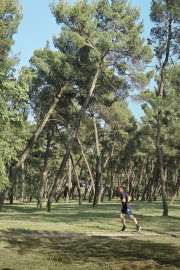 IMG20250607173635.jpg