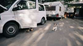 IMG74101.jpg