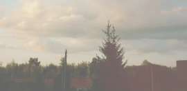 324242.jpg