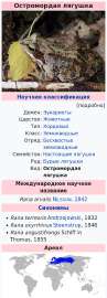 изображение.png