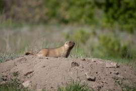 IMG8523.jpg