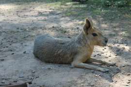 IMG3047.JPG