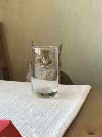 16973920151394-b.jpg