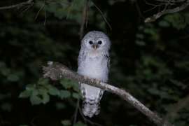 P1281304-Улучшено-Ум. шума.jpg