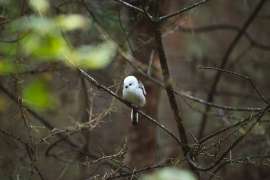 DSC4340.jpg