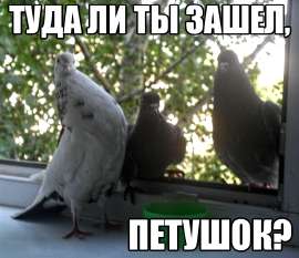 15283987350610.jpg