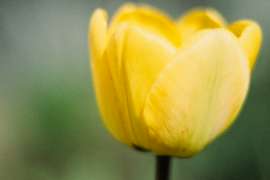 DSC04118.jpg