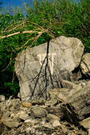 DSC04486.jpg