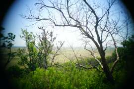 DSC03547.JPG