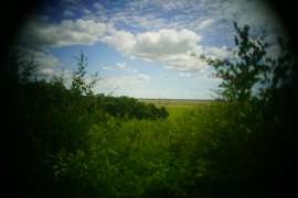 DSC05040.JPG