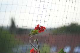 DSC8560.JPG