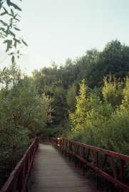 r001-007.jpg