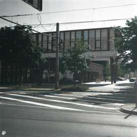 DSC01803 (2).jpg