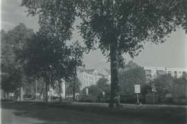 DSC01791.jpg