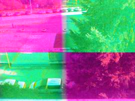IMG20121019155335.jpg