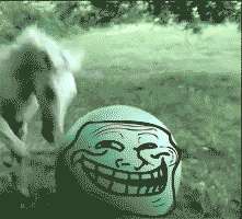 1337509117194.gif