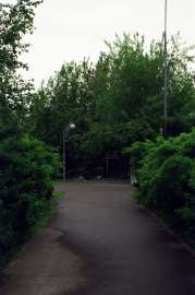 000994450034.webp